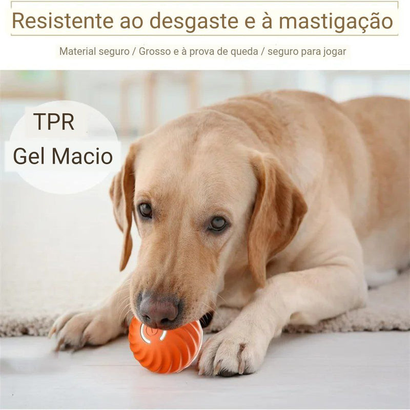 Bola de Brinquedo Inteligente para Pets - Diversão Interativa e Recarga USB